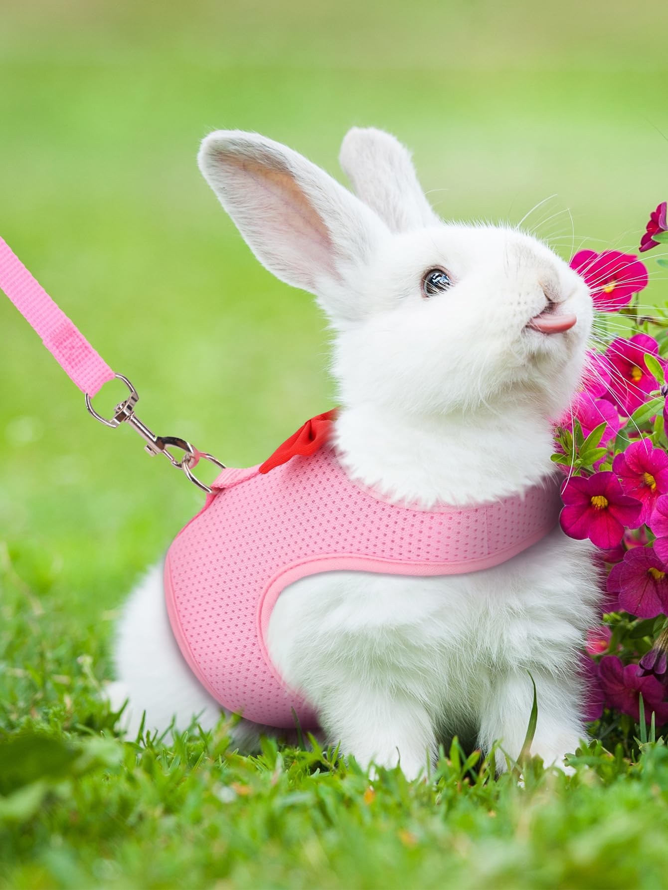 Bunny Harness And Leash For Walking Escape Proof, Mesh Breathable Adjustable Bunny Harness Camping Hiking Training For Ferret Ki